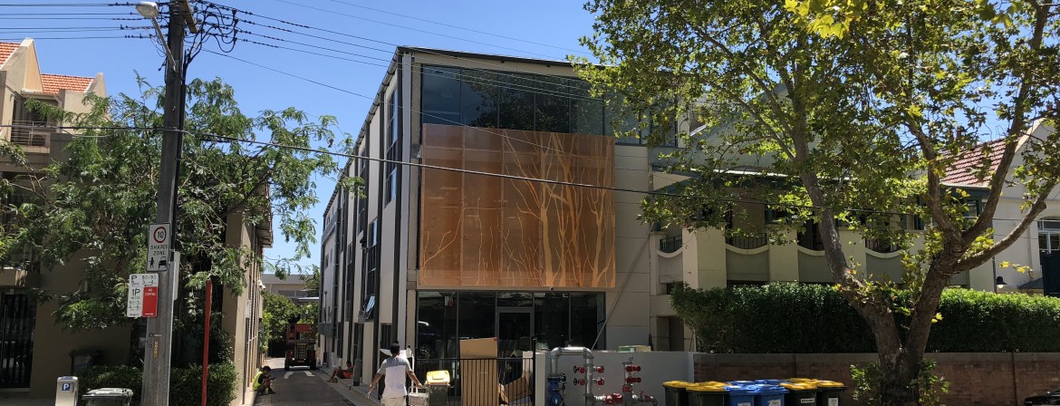 St Marys Primary School Construction 010