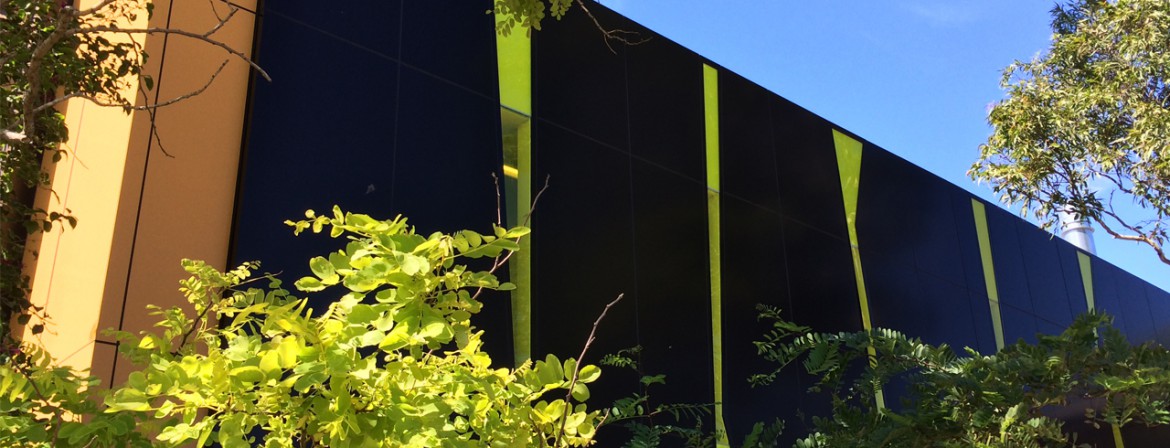 marist pagewood 0010 Layer 1